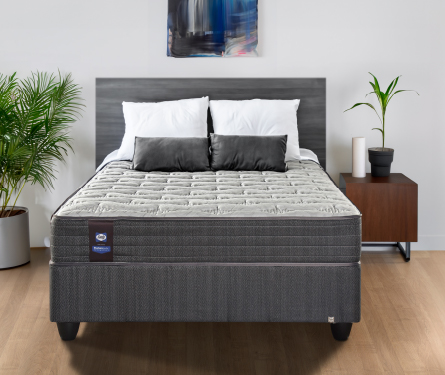 6fd107b6-sealy-gallery-classic-elegance-72x-100.jpg