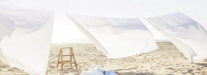 Banner_74d04c0c-5dc2-4e46-91a0-7add74fb7be2_1725x630.webp.jpeg