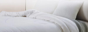 Banner_a19ff46a-8ca1-452a-86a5-82888e257f4f_1725x630.webp.jpeg