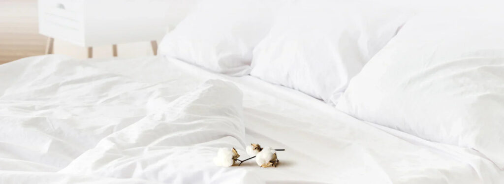 Banner_d46d5060-e196-4208-8595-d61ec49b5378_1725x630.webp.jpeg