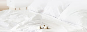 Banner_d46d5060-e196-4208-8595-d61ec49b5378_1725x630.webp.jpeg