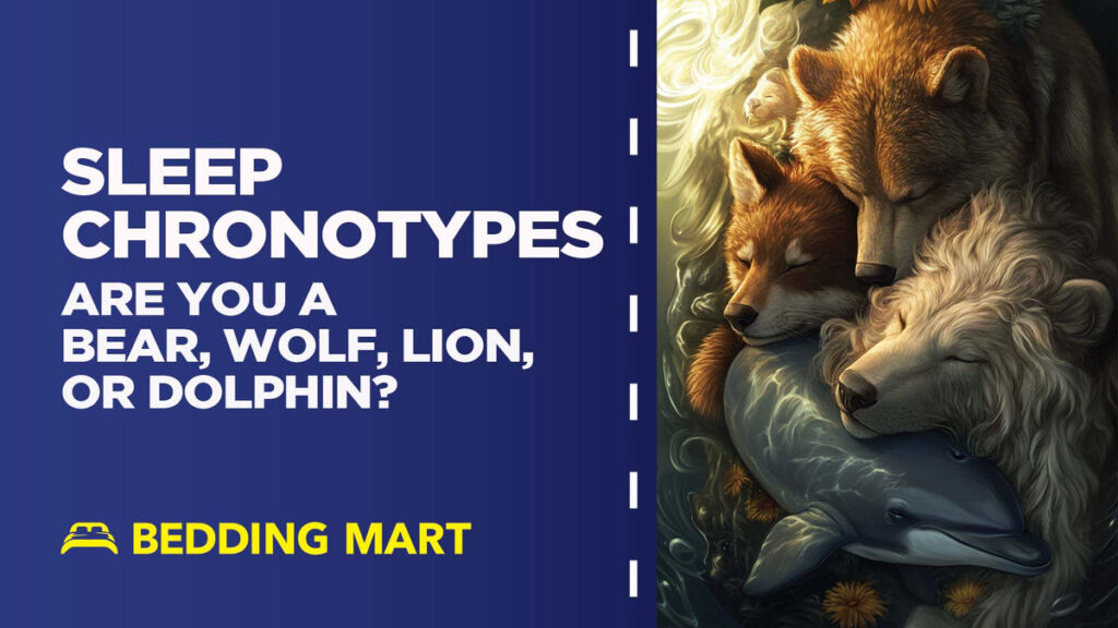 Sleep-Chronotypes-Are-You-A-Bear-Wolf-Lion-or-Dolphin_980f0f83-5bed-4e81-8607-2bde389e1fe5_1200x1200.jpeg