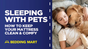 Sleeping-With-Pets-How-To-Keep-Your-Mattress-Clean-and-Comfy_1200x1200.jpg