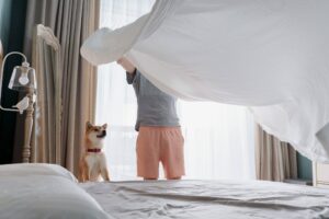 young-man-and-his-funny-dog-are-putting-the-beddin-2025-01-08-19-07-06-utc-56267-scaled.jpg