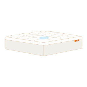 1_2_db6b7570-ff49-442d-aa77-71a4ae0c655c.png