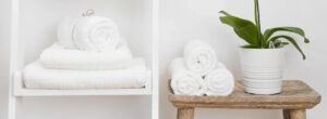 Banner-01_1725x630.webp.jpeg