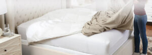 Banner_08bd52dd-caf7-44fd-9be0-a7cb7e21d076_1725x630.webp.jpeg