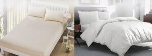 Banner_70bf88fe-dbf5-439f-ab5a-e9c4c5fcd727_1725x630.webp.jpeg