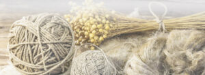 Banner_a0615561-0f62-46f1-9ad6-de50f5b42eab_1725x630.webp.jpeg