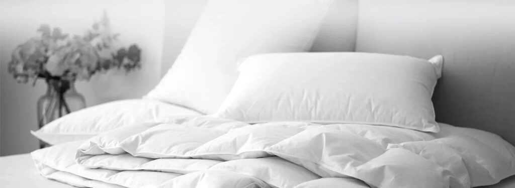 Banner_ae50fd0e-bccb-40be-a8b2-b1daf7422367_1725x630.webp.jpeg