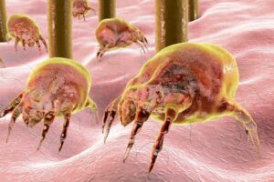can-dust-mites-cause-breathing-problems1.jpg