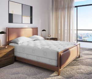 sleep-better-live-healthier-the-benefits-of-a-quality-mattress-868598.jpg