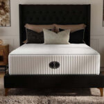 Shifman’s Timeless and 1893 Collections Acquire Retail Momentum » BedTimes Journal