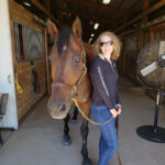 Ladies in Equestrian Enterprise – Teal Shoop