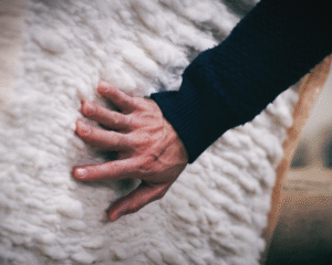 WoolFeaturePhoto_1200x1200.png