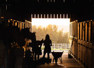 featured_image_barn_chores_1200x1200.jpg