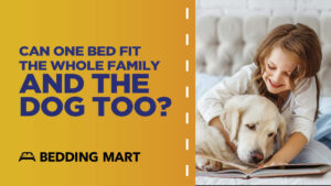 Can-One-Bed-Fit-the-Whole-Family-and-the-Dog-Too-Family-Bed-Taylor-and-Wells-Bedding-Mart_6ac8484c-2.jpeg