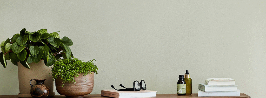 eco_friendly_low_tox_home_45d9e106-1043-4fd3-9fae-788ef3fa7f49_1200x1200.png