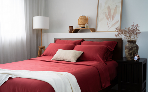 red_bedding_for_lunar_new_year_520x500_285aa1df-c99d-4e84-8a54-34f5a08e2ea5_1200x1200.png