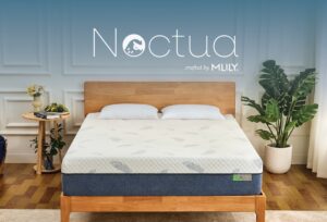 Noctua-by-MLILY.jpg