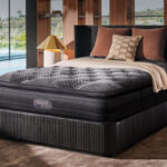The place Timeless Tones Meet True Luxurious
