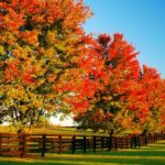 The Want For Change » BedTimes Journal