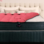 A Valentine’s Retreat by Slumberland: The place Consolation Comes First