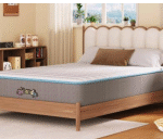 DeLandis Introduces Youth Mattress Assortment » BedTimes Journal