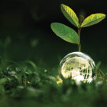 Assist Form ISPA’s Sustainability Worth Chain Map » BedTimes Journal