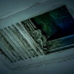 Can Mildew Trigger Insomnia? How Mildew Publicity Disrupts Your Sleep