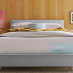 The Evolution of DTC Manufacturers » BedTimes Journal