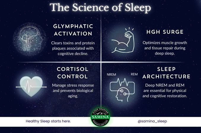 the-science-of-sleep_2x2-grid.jpg