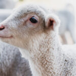 Not Run-of-the-Mill » BedTimes Journal