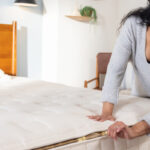 The Sustainability Dialog » BedTimes Journal