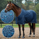 Can Your Horse Blanket Actually Keep Dry