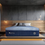 Americanstar Expands Mattress King Partnership Following Prime-Promoting In-Retailer Efficiency » BedTimes Journal