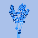 Does Lavender Assist You Sleep? Science-Backed Suggestions (2026)