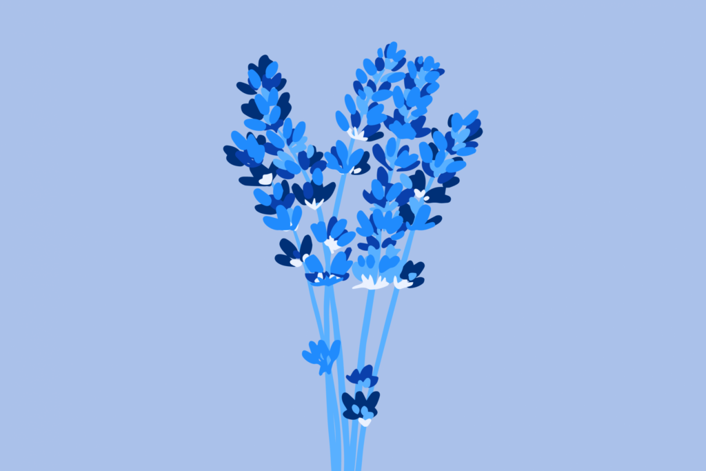 lavender-compressed-1024x683.png