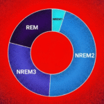 What Is a Regular Sleep Cycle?
– Manta Sleep