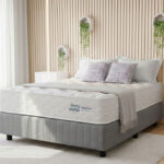 Shopping for a Mattress On-line vs In-Retailer | A Information by Mojo Beds
