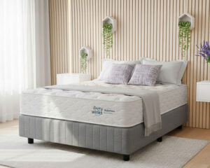 e8bab718-mojo-beds1.jpeg