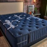 The whole lot You Have to Know – Metropolis Mattress